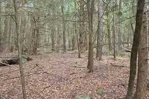 Tbd Bobwhite Trail, Mongaup Valley, NY 12762 - Photo 7