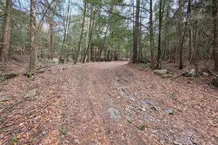 Tbd Bobwhite Trail, Mongaup Valley, NY 12762 - Photo 21