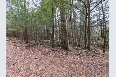 Tbd Bobwhite Trail, Mongaup Valley, NY 12762 - Photo 25