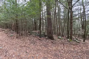 Tbd Bobwhite Trail, Mongaup Valley, NY 12762 - Photo 25