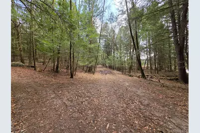 Tbd Bobwhite Trail, Mongaup Valley, NY 12762 - Photo 13