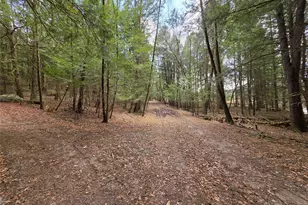 Tbd Bobwhite Trail, Mongaup Valley, NY 12762 - Photo 13
