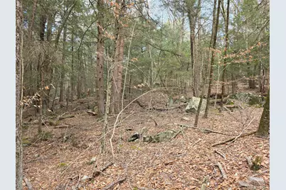 Tbd Bobwhite Trail, Mongaup Valley, NY 12762 - Photo 23