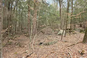 Tbd Bobwhite Trail, Mongaup Valley, NY 12762 - Photo 23