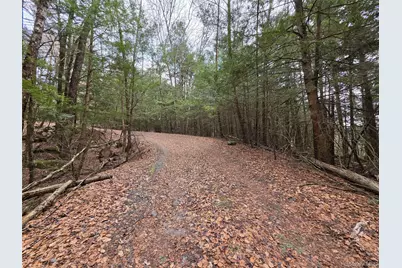 Tbd Bobwhite Trail, Mongaup Valley, NY 12762 - Photo 31