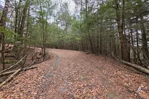 Tbd Bobwhite Trail, Mongaup Valley, NY 12762 - Photo 31