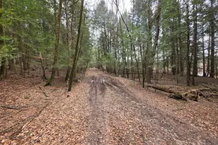 Tbd Bobwhite Trail, Mongaup Valley, NY 12762 - Photo 19