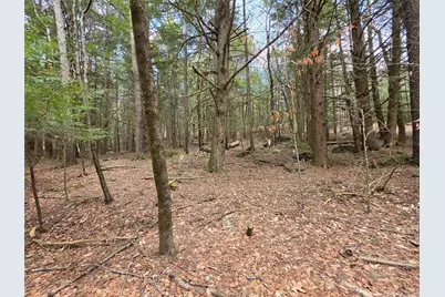 Tbd Bobwhite Trail, Mongaup Valley, NY 12762 - Photo 11