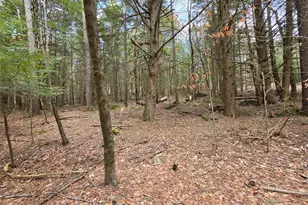 Tbd Bobwhite Trail, Mongaup Valley, NY 12762 - Photo 11