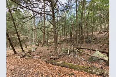 Tbd Bobwhite Trail, Mongaup Valley, NY 12762 - Photo 27