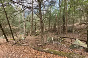 Tbd Bobwhite Trail, Mongaup Valley, NY 12762 - Photo 27