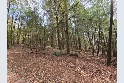 Tbd Bobwhite Trail, Mongaup Valley, NY 12762 - Photo 17