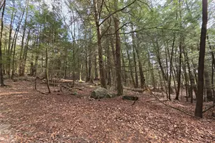 Tbd Bobwhite Trail, Mongaup Valley, NY 12762 - Photo 17