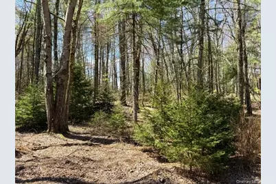 2769 State Route 55, Bethel, NY 12720 - Photo 23