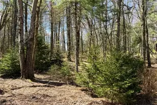 2769 State Rte 55, Bethel, NY 12720 - Photo 23