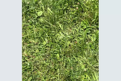 181 Huguenot Street, New Paltz, NY 12561 - Photo 31