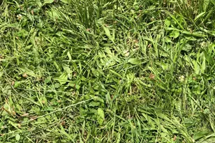 181 Huguenot St, New Paltz, NY 12561 - Photo 31