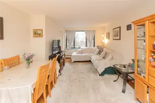 77 Carpenter Ave, Mount Kisco, NY 10549 - Photo 9