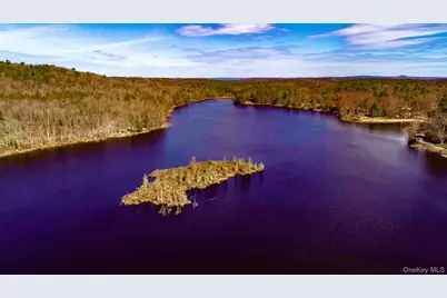 28 W Tusten Place, Bethel, NY 12720 - Photo 5