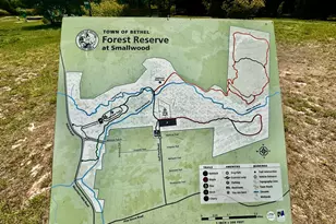 28 W Tusten Pl, Bethel, NY 12720 - Photo 37