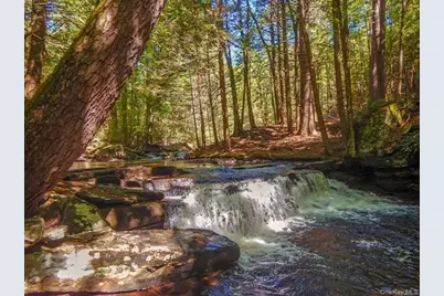 41 Upper Lumber Road, Glen Spey, NY 12737 - Photo 33