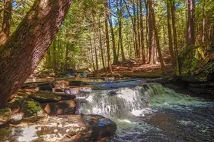 41 Upper Lumber Rd, Glen Spey, NY 12737 - Photo 33