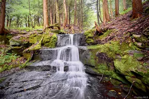 15 Mnr Fls Dr, Livingston Manor, NY 12758 - Photo 25