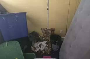 2105 Seward Ave, Bronx, NY 10473 - Photo 5