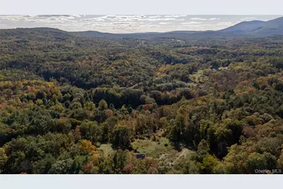 363 Beaverkill Road, Olivebridge, NY 12461 - Photo 23