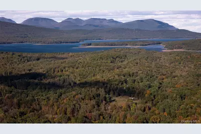 363 Beaverkill Road, Olivebridge, NY 12461 - Photo 19