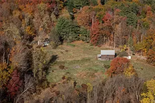 363 Beaverkill Rd, Olivebridge, NY 12461 - Photo 11