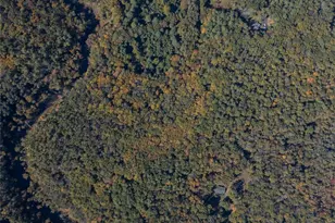 363 Beaverkill Rd, Olivebridge, NY 12461 - Photo 7