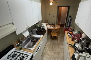 221 McDonald, Brooklyn, NY 11218 - Photo 13