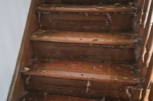 228-18 139th Ave, Springfield Gardens, NY 11413 - Photo 9