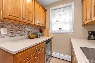 124 S Park Avenue #1-P, Rockville Centre, NY 11570 - Photo 11