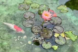 117 Plainview Rd, Woodbury, NY 11797 - Photo 11