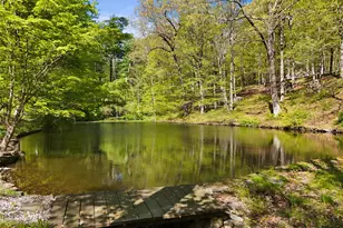 334 Pine Brook Rd, Pound Ridge, NY 11961 - Photo 25