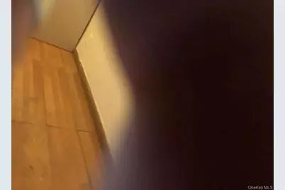 3228 61st Street, Woodside, NY 11377 - Photo 3