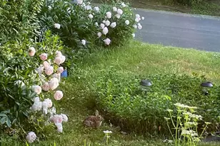 12 Anita Ct, Kingston, NY 12401 - Photo 27