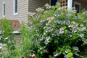 12 Anita Ct, Kingston, NY 12401 - Photo 3