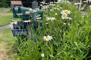 12 Anita Ct, Kingston, NY 12401 - Photo 31