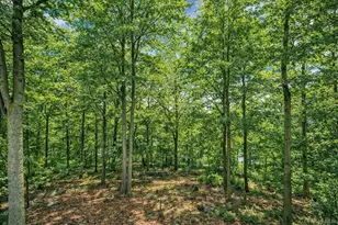 15 Scenic Dr, Croton on Hudson, NY 10520 - Photo 31