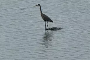 3 Lakeside Rd, Mahopac, NY 10541 - Photo 3