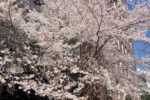 48-25 43rd St, Woodside, NY 11377 - Photo 13