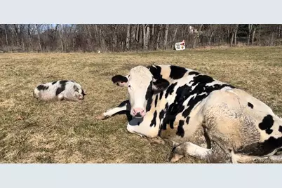 315 Bellvale Lakes Road, Warwick, NY 10990 - Photo 45