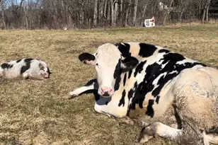 315 Bellvale Lakes Rd, Warwick, NY 10990 - Photo 45