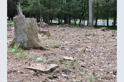 Eldred-Yulan Road, Call Listing Agent, NY 12792 - Photo 11