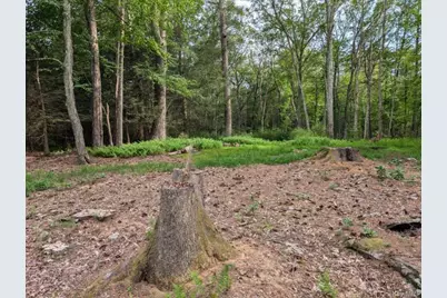 Eldred-Yulan Road, Call Listing Agent, NY 12792 - Photo 5