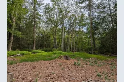 Eldred-Yulan Road, Call Listing Agent, NY 12792 - Photo 7