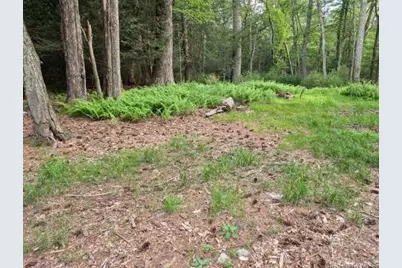 Eldred-Yulan Road, Call Listing Agent, NY 12792 - Photo 9